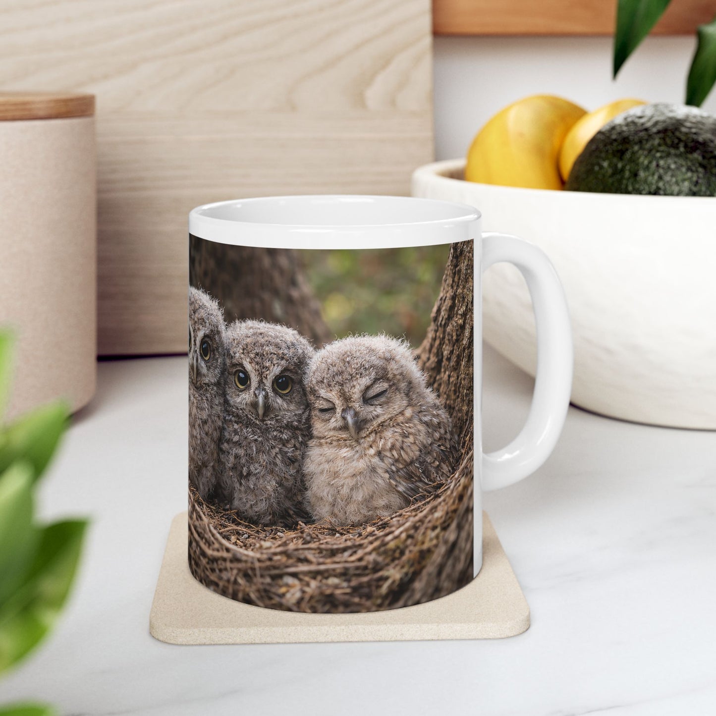 Three Baby Owls Nest Mug | Owl Photography Ceramic Mug