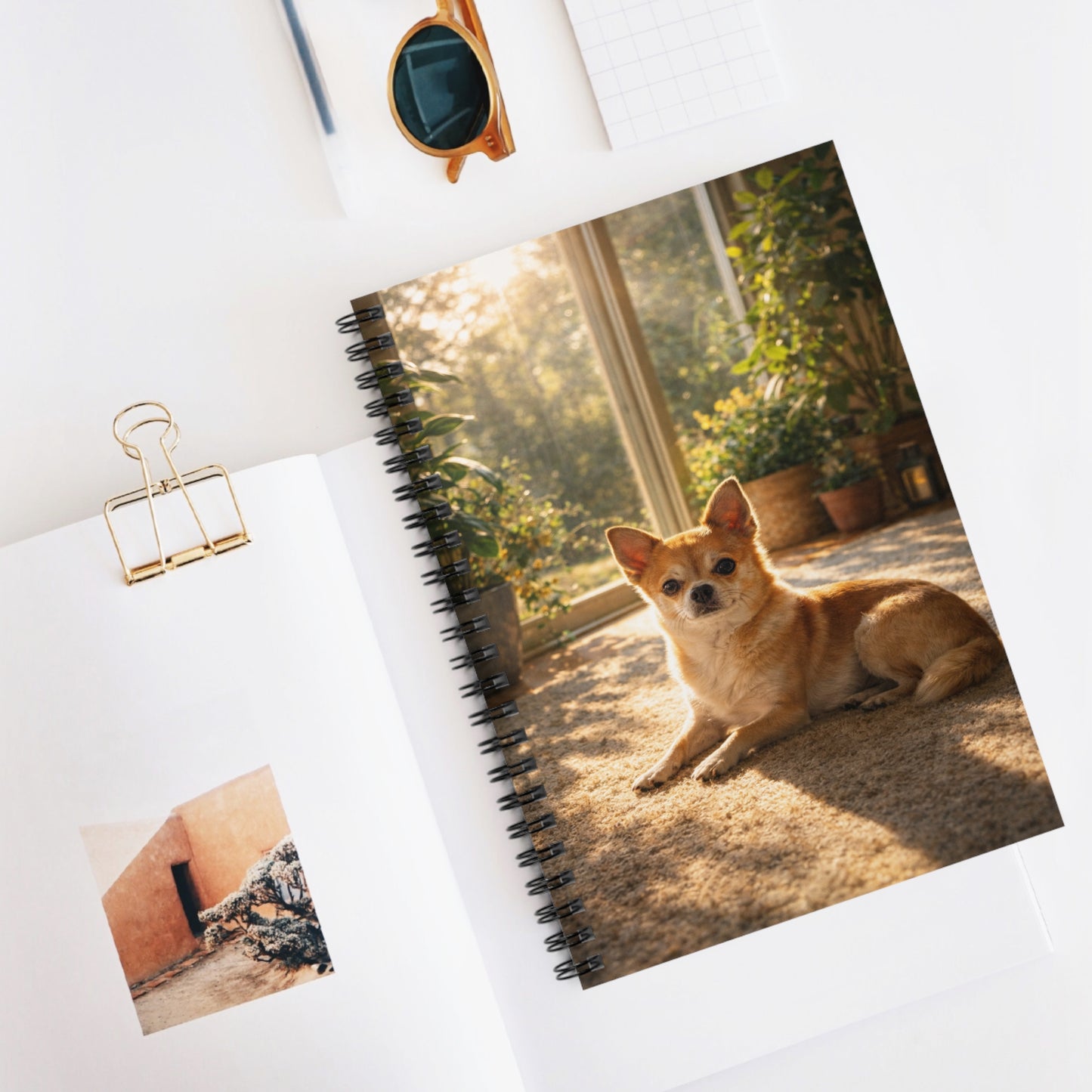 Chihuahua Sunbeam Spiral Notebook — Ruled Lined Journal for Dog Lovers