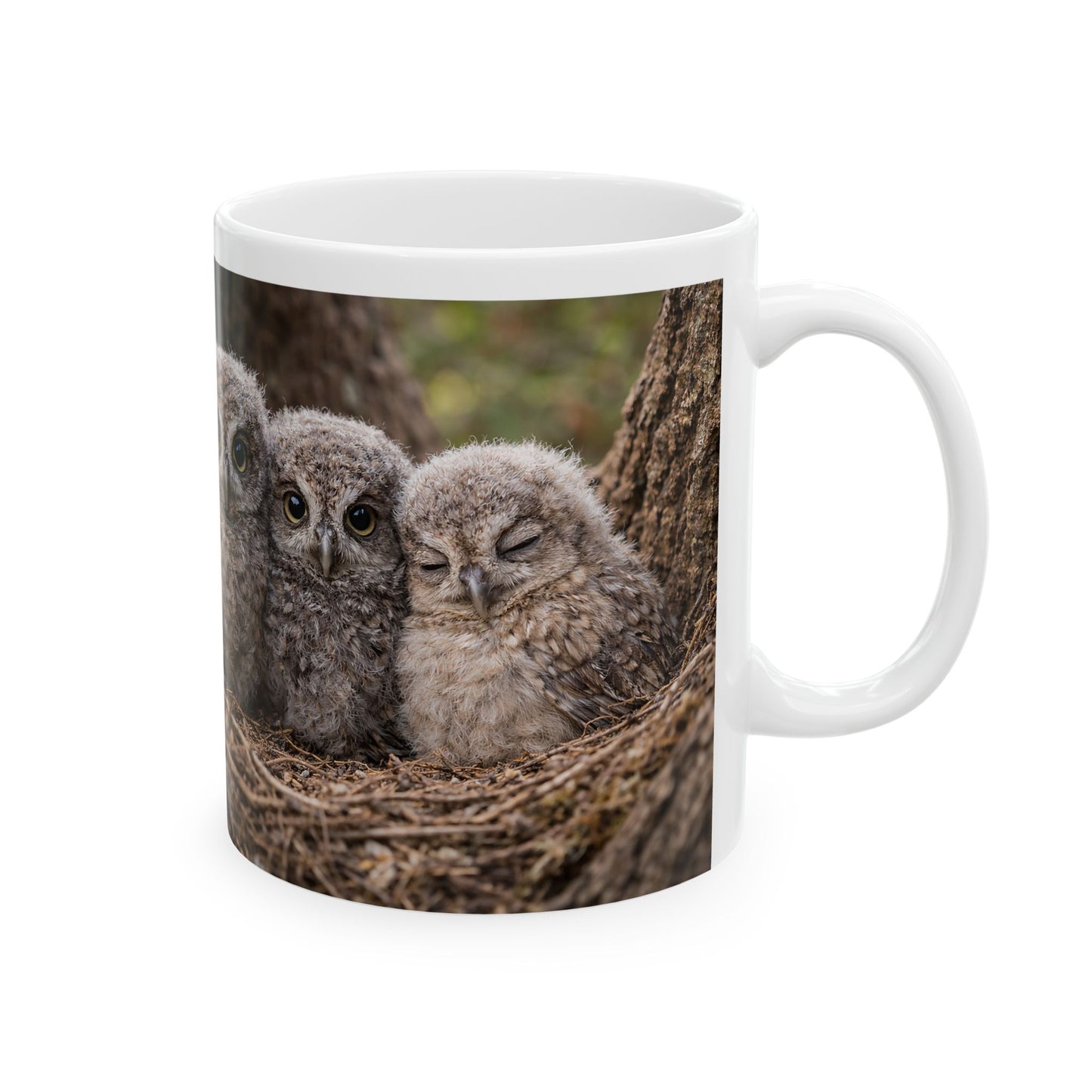 Three Baby Owls Nest Mug | Owl Photography Ceramic Mug