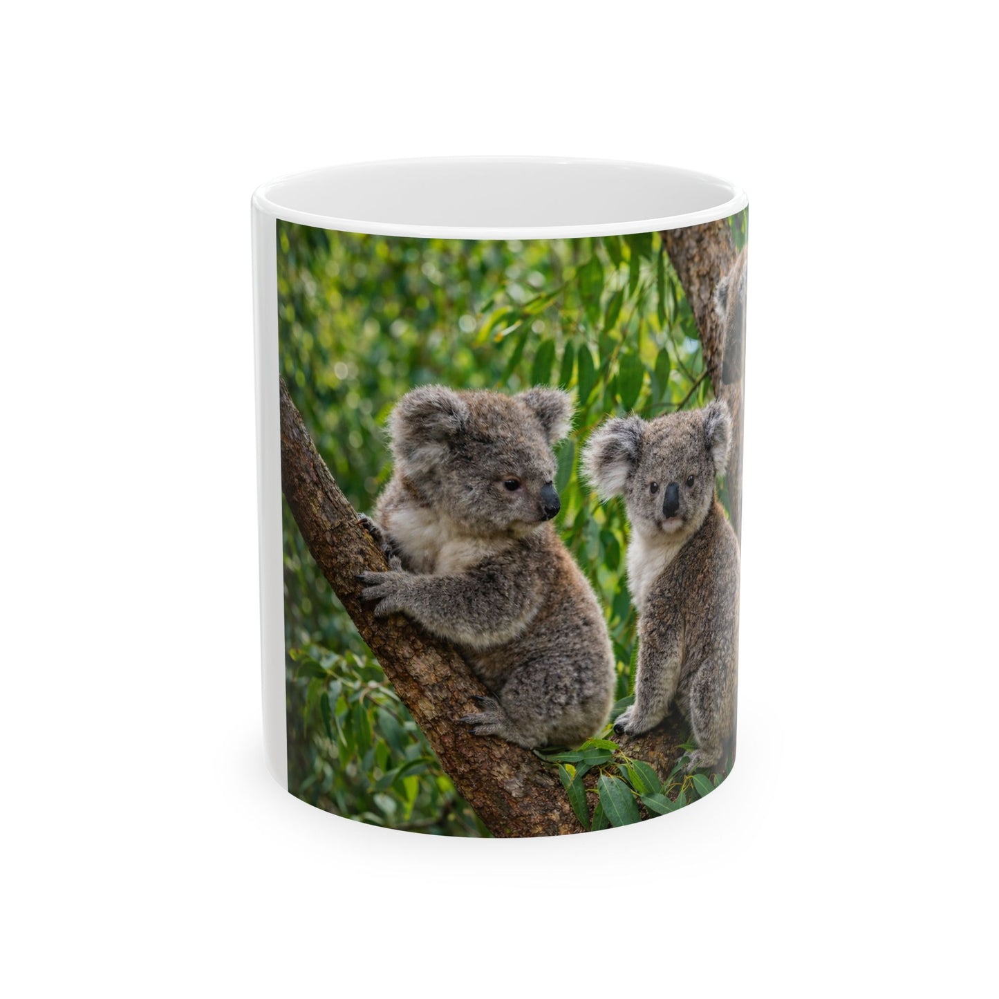 Koala Photo Ceramic Mug — Cute Australian Wildlife Coffee Cup (11oz)