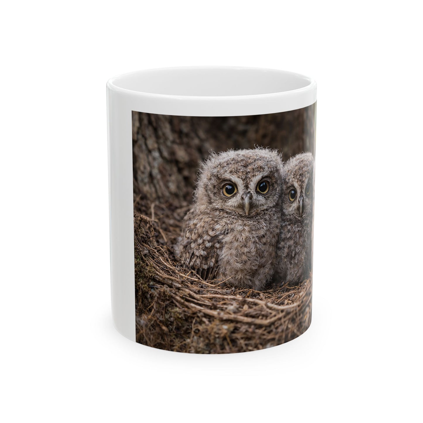 Three Baby Owls Nest Mug | Owl Photography Ceramic Mug