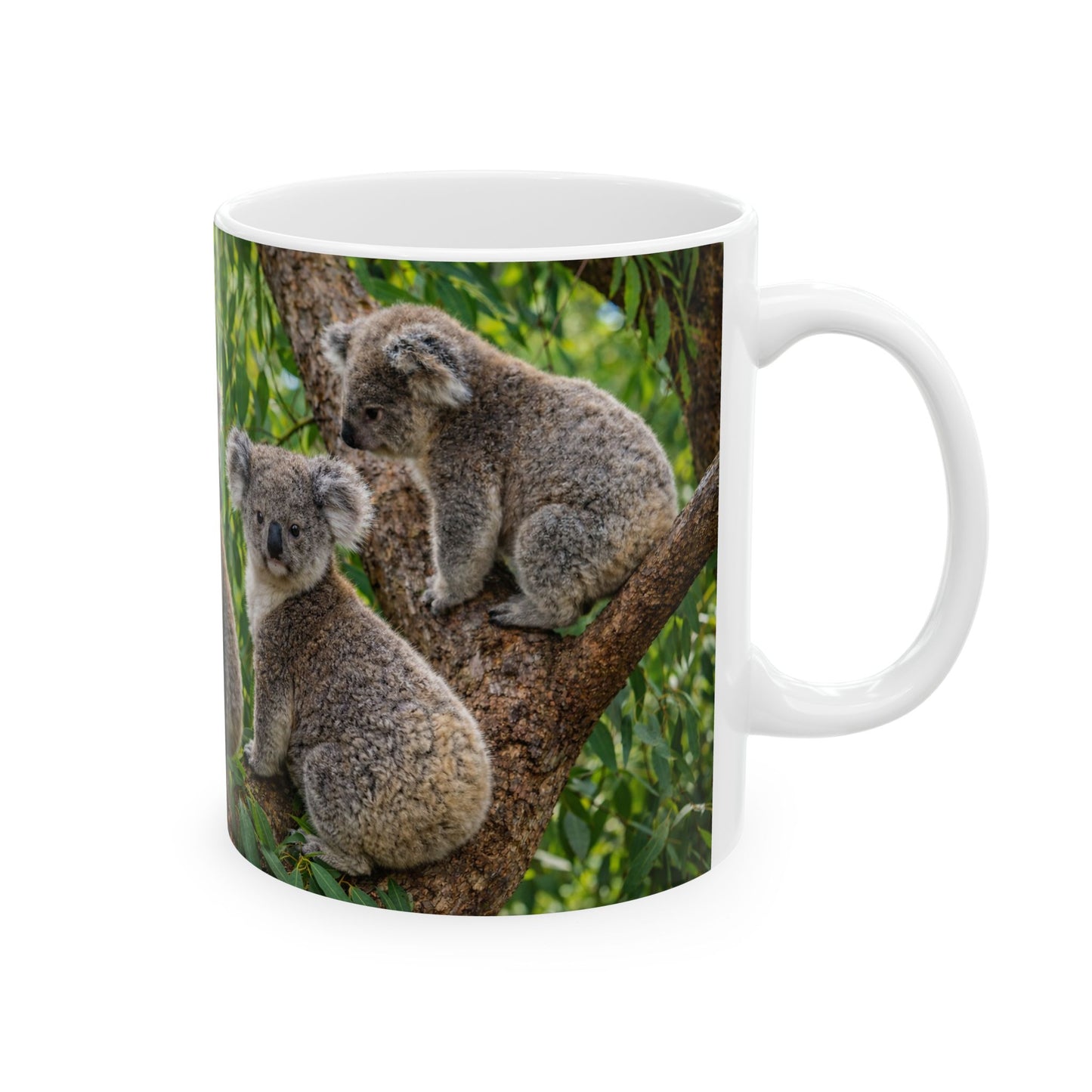 Koala Photo Ceramic Mug — Cute Australian Wildlife Coffee Cup (11oz)