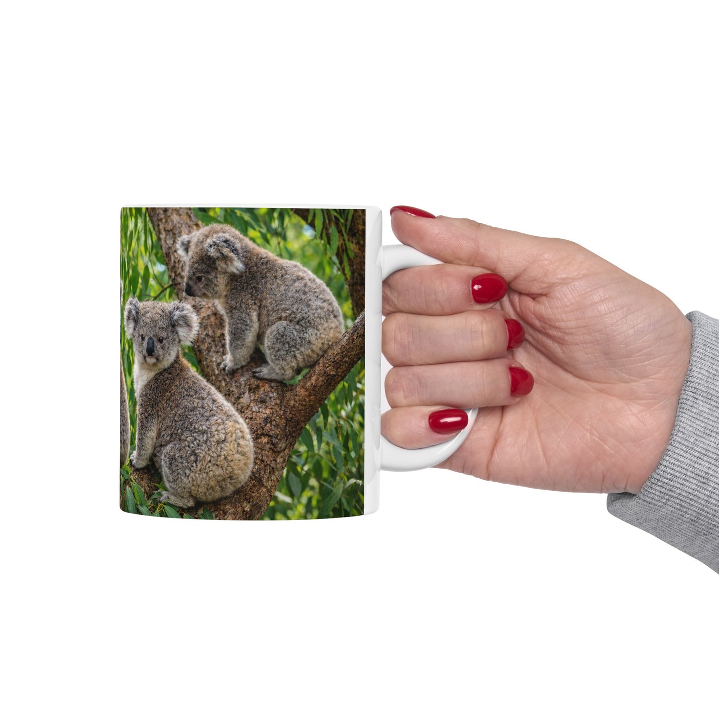 Koala Photo Ceramic Mug — Cute Australian Wildlife Coffee Cup (11oz)