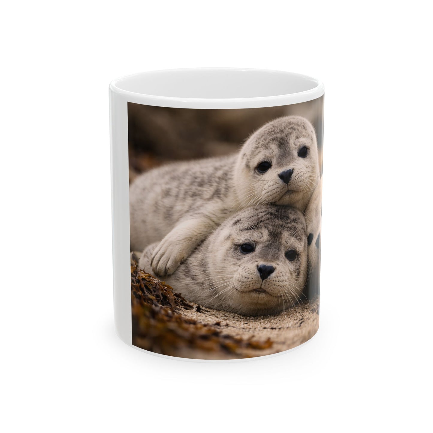 Seal Pups Ceramic Mug — Cute Animal Photo Coffee Cup (11oz)